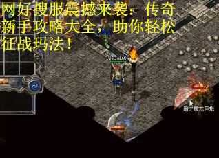 网好搜服震撼来袭：传奇新手攻略大全，助你轻松征战玛法！