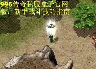 996传奇私服盒子官网版：新手战斗技巧指南