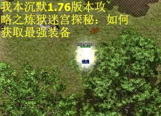 我本沉默1.76版本攻略之炼狱迷宫探秘：如何获取最强装备