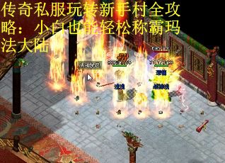 传奇私服玩转新手村全攻略：小白也能轻松称霸玛法大陆