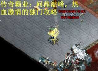 传奇霸业：问鼎巅峰，热血激情的独门攻略