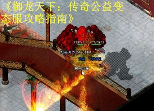 《御龙天下：传奇公益变态服攻略指南》
