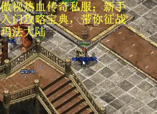 傲视热血传奇私服：新手入门攻略宝典，带你征战玛法大陆