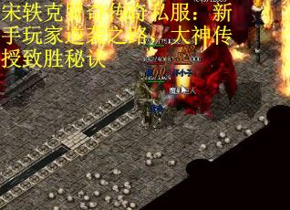 宋轶克罗奇传奇私服：新手玩家逆袭之路，大神传授致胜秘诀