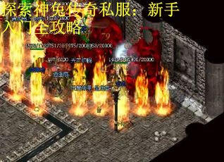 探索神兔传奇私服：新手入门全攻略