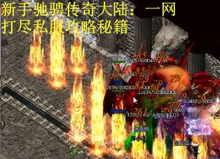 新手驰骋传奇大陆：一网打尽私服攻略秘籍