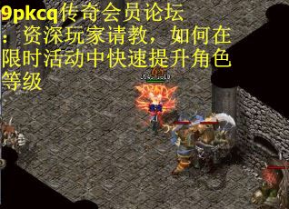 9pkcq传奇会员论坛：资深玩家请教，如何在限时活动中快速提升角色等级
