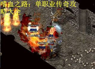 嗜血之路：单职业传奇攻略大全