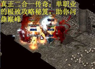 真正二合一传奇：单职业的极致攻略秘笈，助你问鼎巅峰