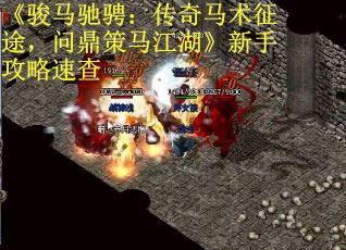 《骏马驰骋：传奇马术征途，问鼎策马江湖》新手攻略速查