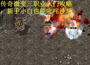 传奇微变三职业入门攻略：新手小白也能叱咤沙场