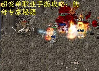 超变单职业手游攻略：传奇专家秘籍