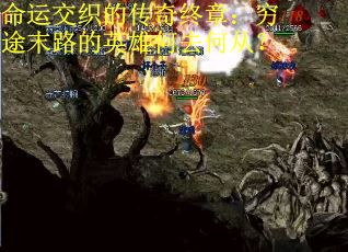 命运交织的传奇终章：穷途末路的英雄何去何从？