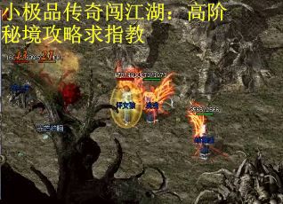 小极品传奇闯江湖：高阶秘境攻略求指教