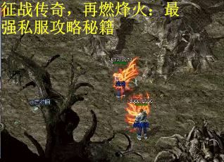 征战传奇，再燃烽火：最强私服攻略秘籍