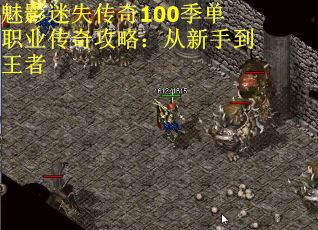 魅影迷失传奇100季单职业传奇攻略：从新手到王者