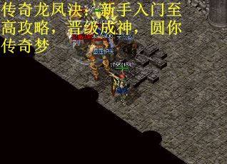 传奇龙凤决：新手入门至高攻略，晋级成神，圆你传奇梦