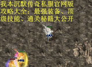 我本沉默传奇私服官网版攻略大全：最强装备、顶级技能、通关秘籍大公开