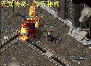 天武传奇：惊天秘闻