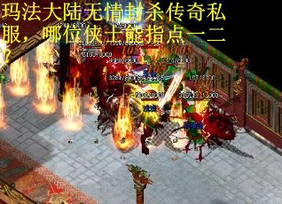 玛法大陆无情封杀传奇私服，哪位侠士能指点一二？