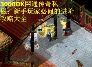 3000OK网通传奇私服：新手玩家必问的进阶攻略大全