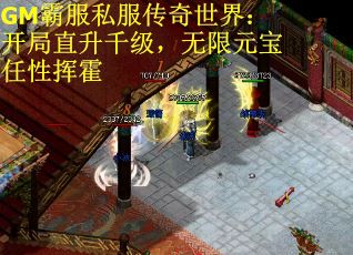 GM霸服私服传奇世界：开局直升千级，无限元宝任性挥霍