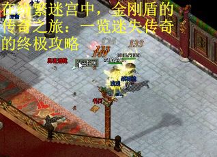 在纷繁迷宫中，金刚盾的传奇之旅：一览迷失传奇的终极攻略