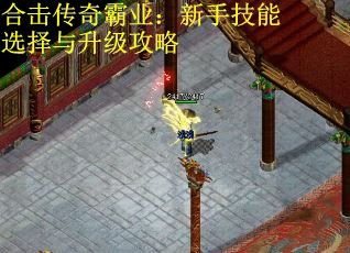 合击传奇霸业：新手技能选择与升级攻略