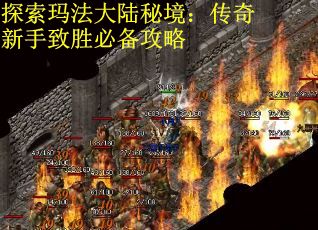 探索玛法大陆秘境：传奇新手致胜必备攻略