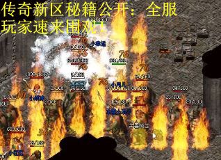 传奇新区秘籍公开：全服玩家速来围观！