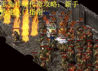 玉兔祥瑞传奇攻略：新手快速入门指南