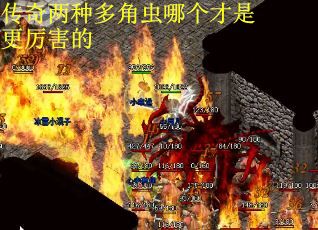 传奇两种多角虫哪个才是更厉害的