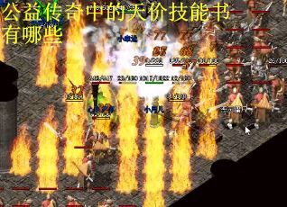 公益传奇中的天价技能书有哪些