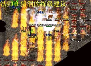 法师在猪洞的练级建议
