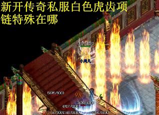 新开传奇私服白色虎齿项链特殊在哪