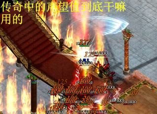 传奇中的声望值到底干嘛用的