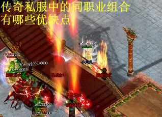 传奇私服中的同职业组合有哪些优缺点