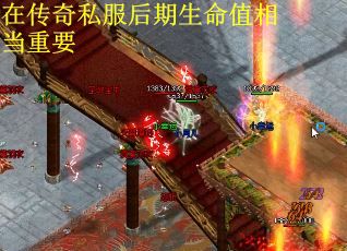 在传奇私服后期生命值相当重要