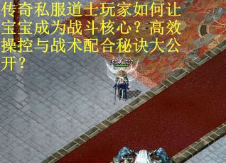 传奇私服道士玩家如何让宝宝成为战斗核心？高效操控与战术配合秘诀大公开？