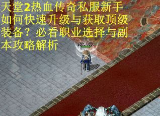 天堂2热血传奇私服新手如何快速升级与获取顶级装备？必看职业选择与副本攻略解析