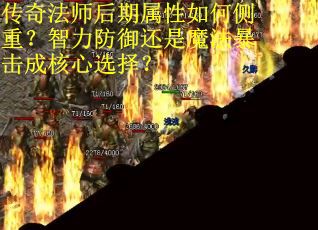 传奇法师后期属性如何侧重？智力防御还是魔法暴击成核心选择？