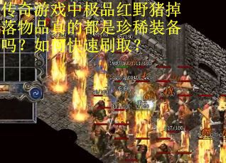 传奇游戏中极品红野猪掉落物品真的都是珍稀装备吗？如何快速刷取？
