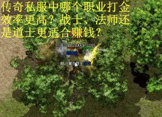 传奇私服中哪个职业打金效率更高？战士、法师还是道士更适合赚钱？