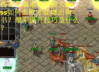 传奇私服未知暗殿大boss如何击败才能爆出狗书？爆率提升技巧是什么？