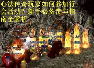 心法传奇玩家如何参加行会活动？新手必备参与指南全解析
