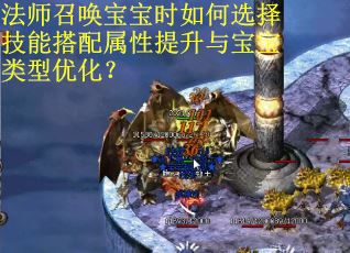 法师召唤宝宝时如何选择技能搭配属性提升与宝宝类型优化？