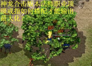 神龙合击版本法师职业顶级戒指如何搭配才能输出最大化？