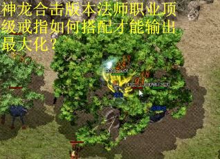 神龙合击版本法师职业顶级戒指如何搭配才能输出最大化？