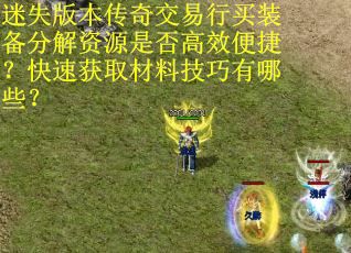 迷失版本传奇交易行买装备分解资源是否高效便捷？快速获取材料技巧有哪些？