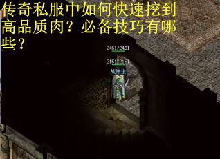 传奇私服中如何快速挖到高品质肉？必备技巧有哪些？